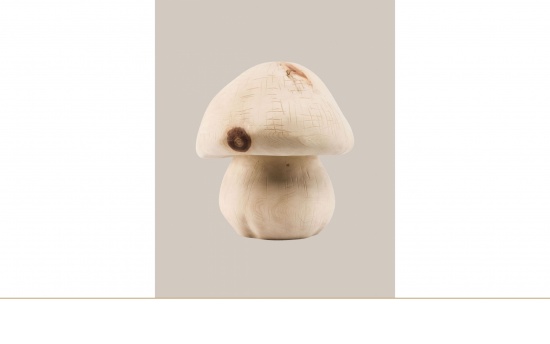 Holzurne Pilz   <small>(U80)</small>