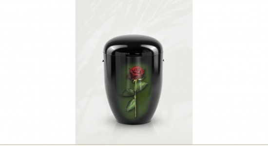 Rote Rose   <small>(U29)</small>