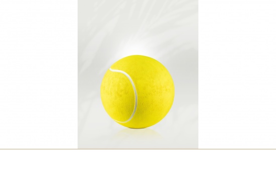 Tennisball   <small>(U45)</small>