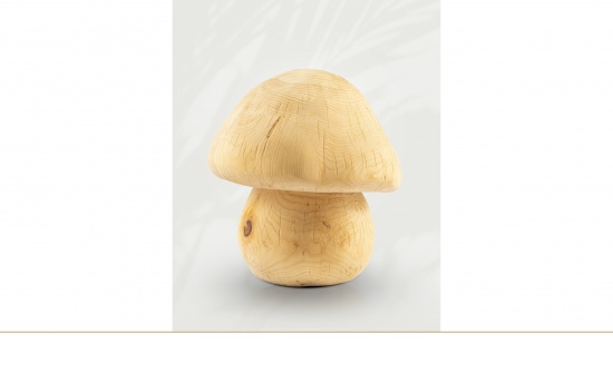 Pilz   <small>(U4)</small>