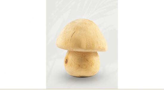 Pilz   <small>(U4)</small>