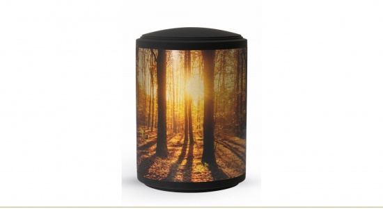 Wald mit Sonne   <small>(U100)</small>