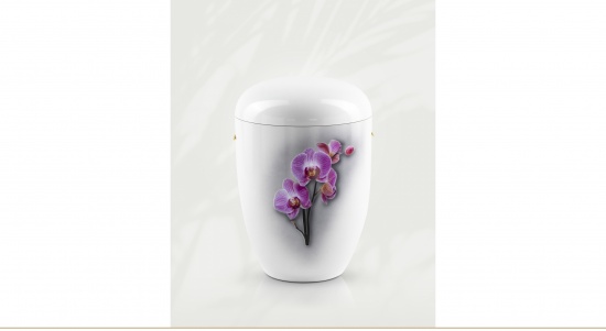 Orchidee   <small>(U87)</small>