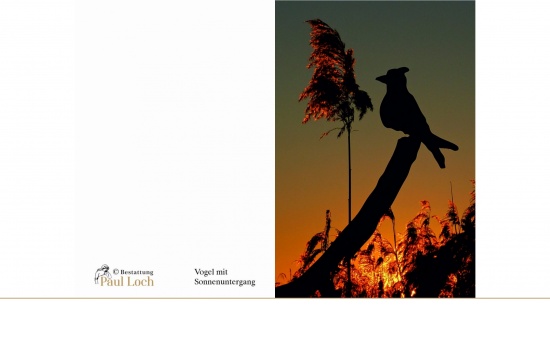 Vogel mit Sonnenuntergang   <small>(Vogel mit Sonnenuntergang)</small>