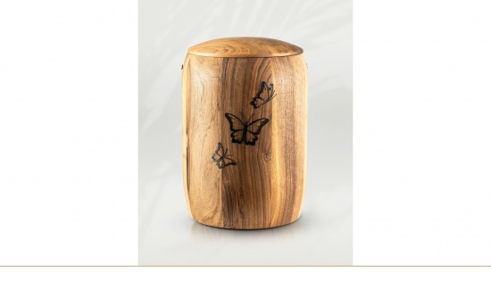 Retro Schmetterling Nr. 50   <small>(U15)</small>