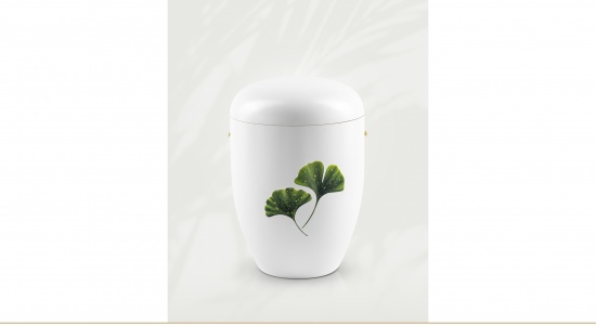 Ginkgo   <small>(U57)</small>